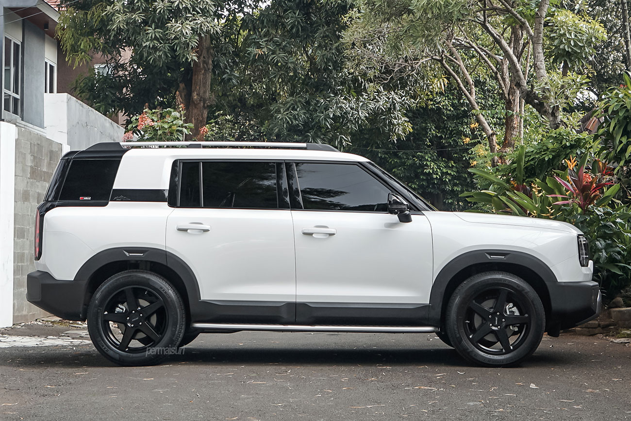 PETROL P2C with BAIC BJ30e