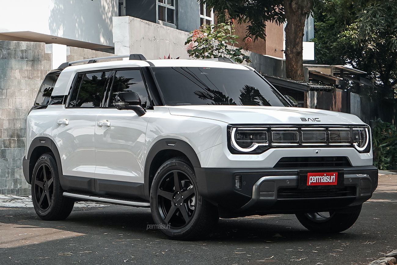 PETROL P2C with BAIC BJ30e