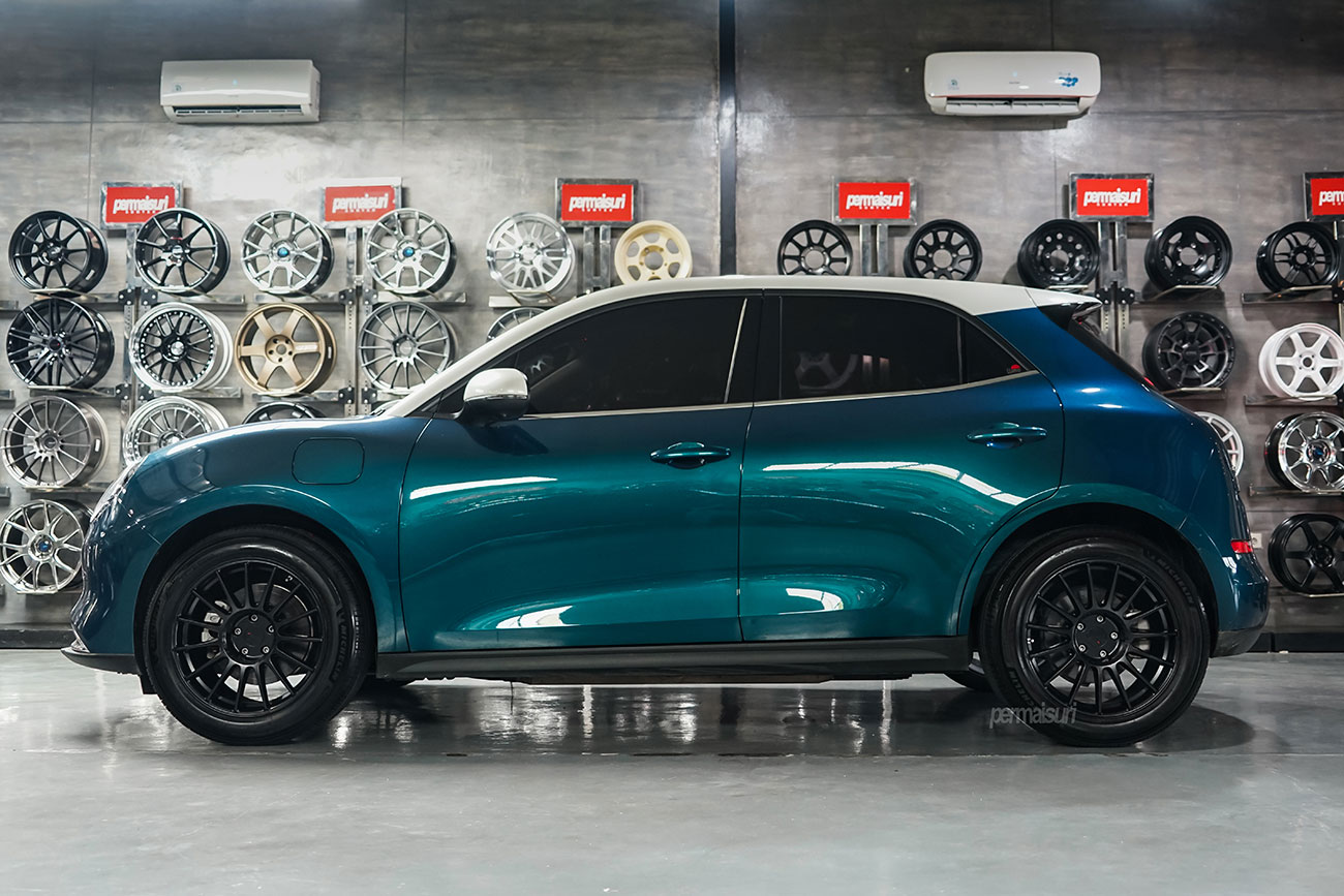 TSW Paddock with GWM Ora 3