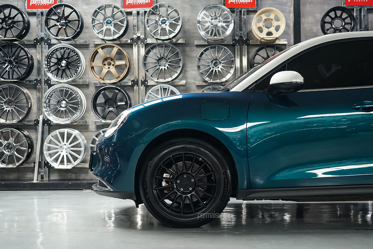 TSW Paddock with GWM Ora 3