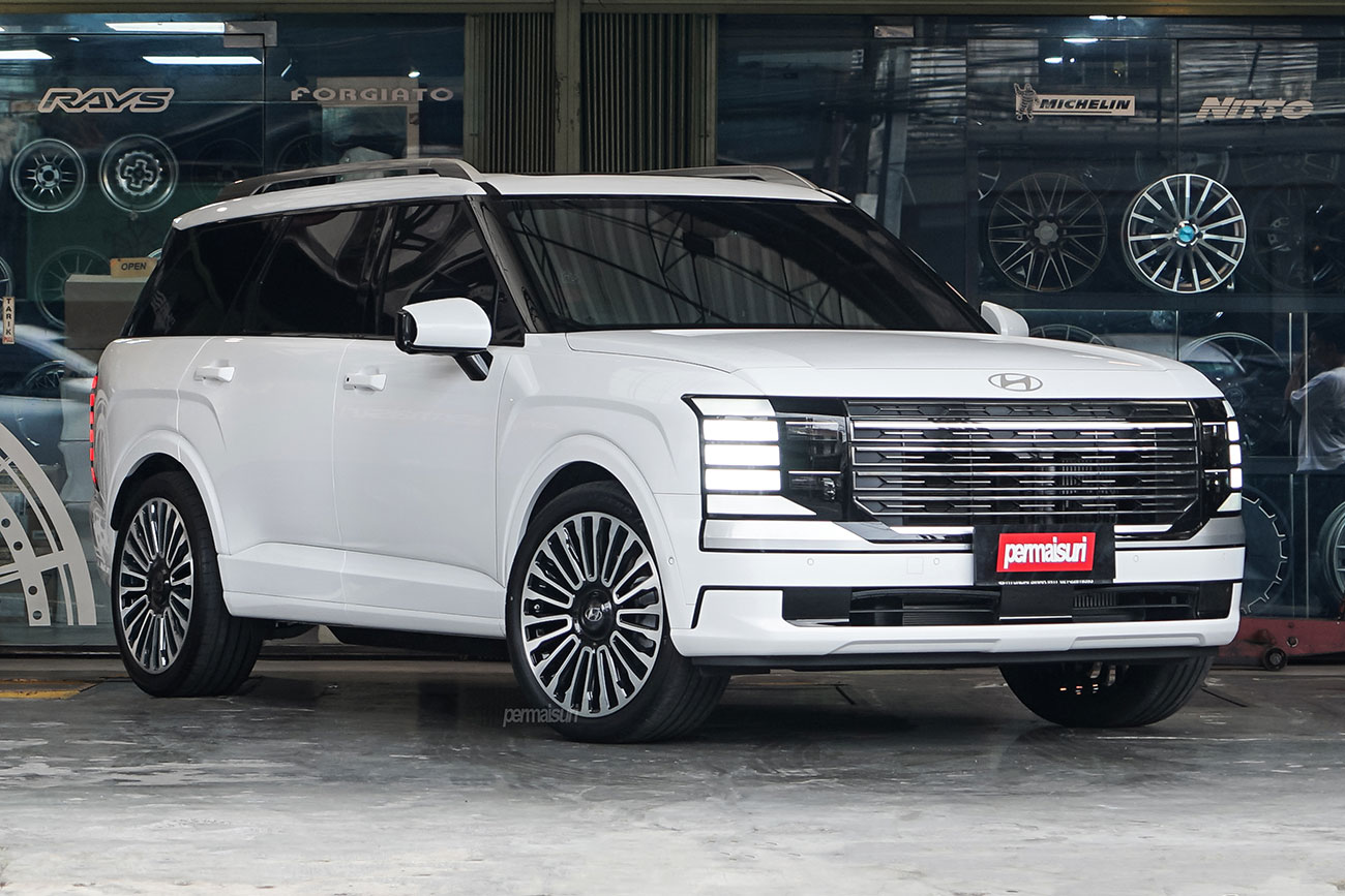 RAVE 2 with Hyundai Palisade