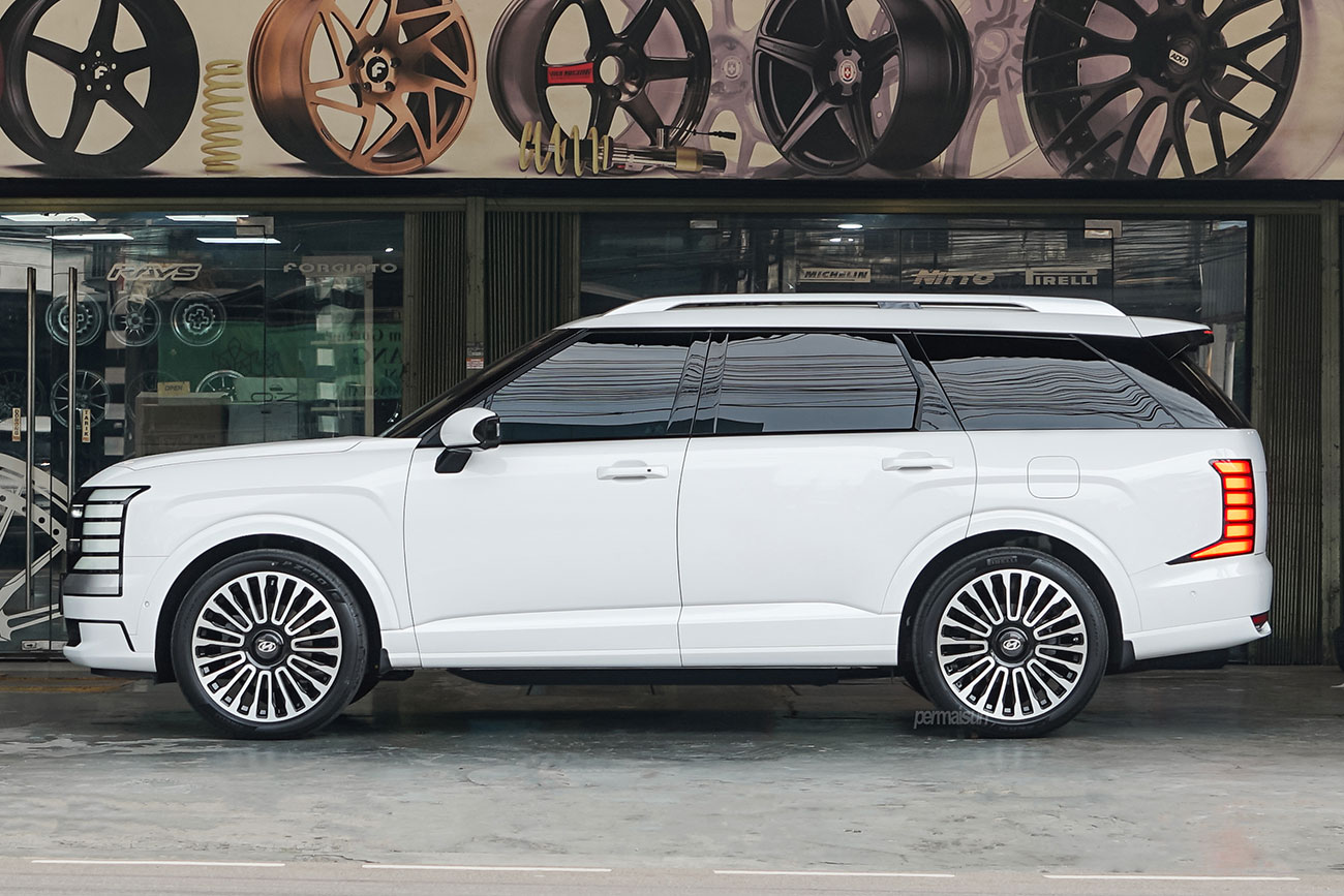 RAVE 2 with Hyundai Palisade