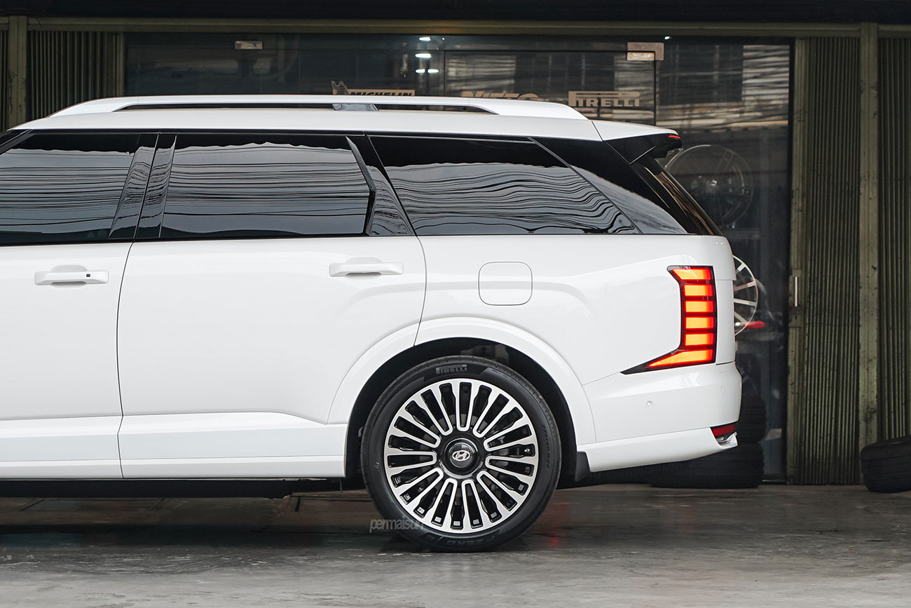RAVE 2 with Hyundai Palisade