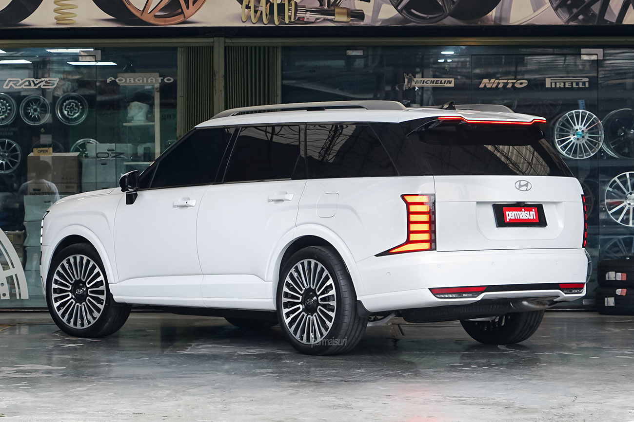 RAVE 2 with Hyundai Palisade