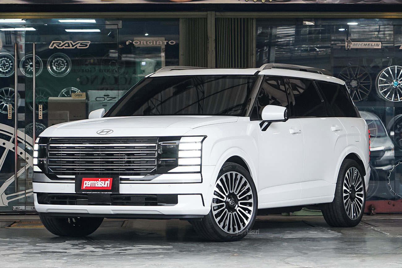 RAVE 2 with Hyundai Palisade