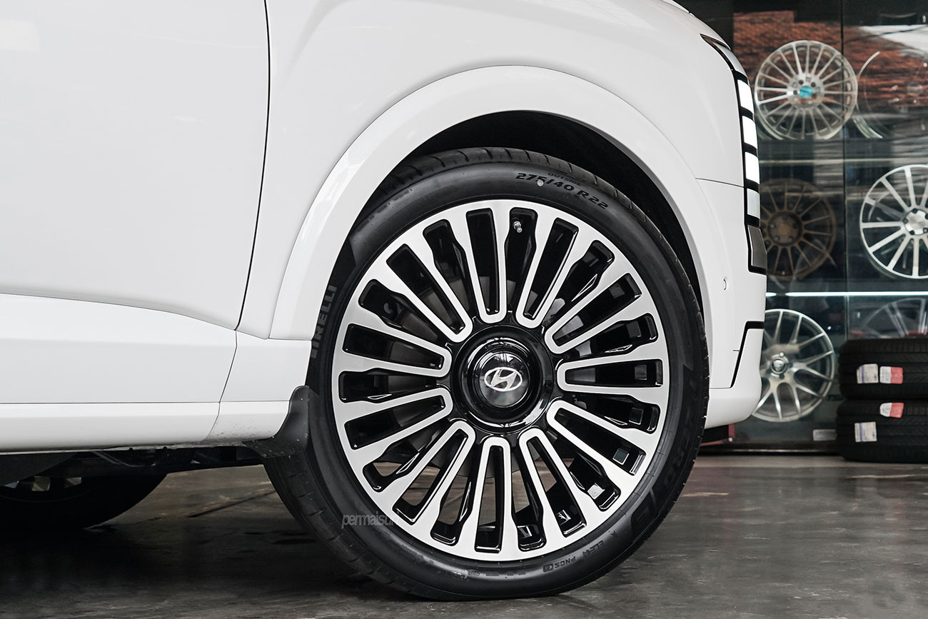 RAVE 2 with Hyundai Palisade