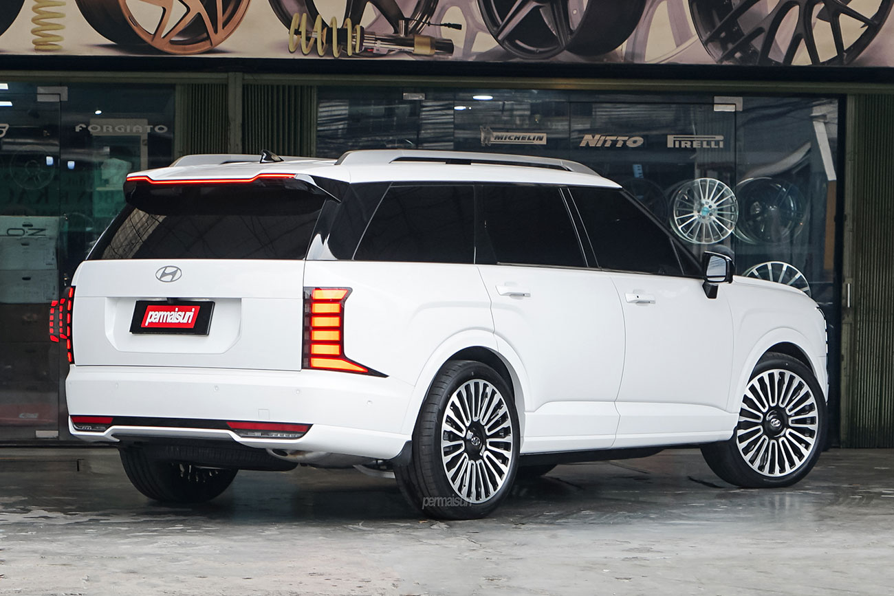 RAVE 2 with Hyundai Palisade